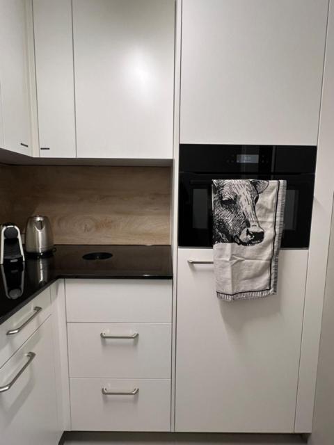 New Renovated Apartment In Center Of Davos Bagian luar foto