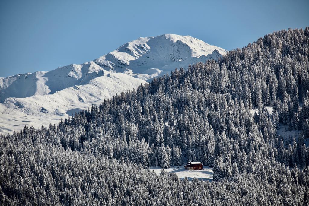 New Renovated Apartment In Center Of Davos Bagian luar foto